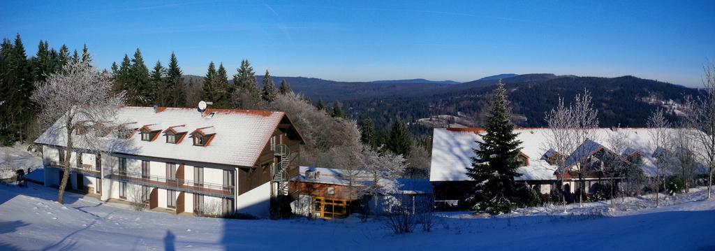 Ferienwohnung Apartman Sumava - Bavorsky Les Mitterfirmiansreut Exterior foto