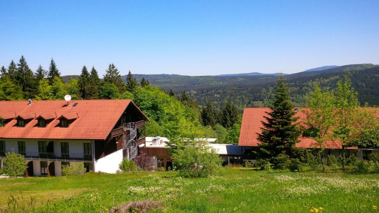 Ferienwohnung Apartman Sumava - Bavorsky Les Mitterfirmiansreut Exterior foto