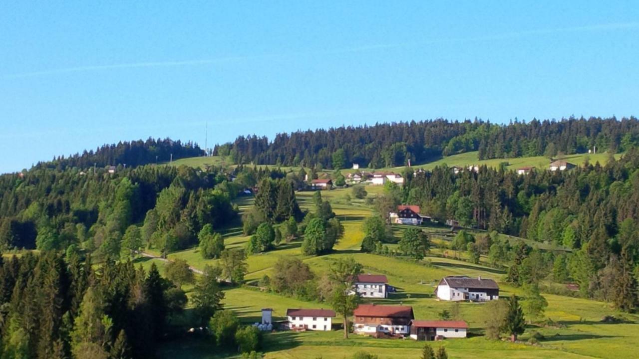 Ferienwohnung Apartman Sumava - Bavorsky Les Mitterfirmiansreut Exterior foto