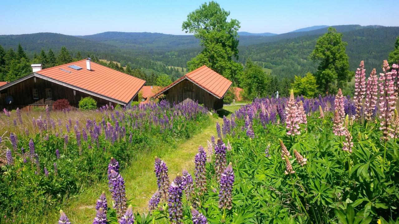 Ferienwohnung Apartman Sumava - Bavorsky Les Mitterfirmiansreut Exterior foto